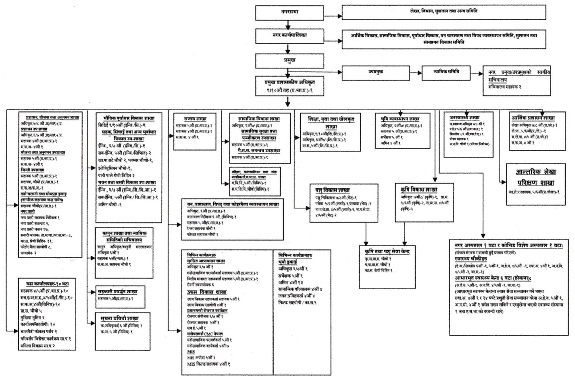 चौदण्डीगढी नगरपालिकाको संगठनात्मक ढाँचा